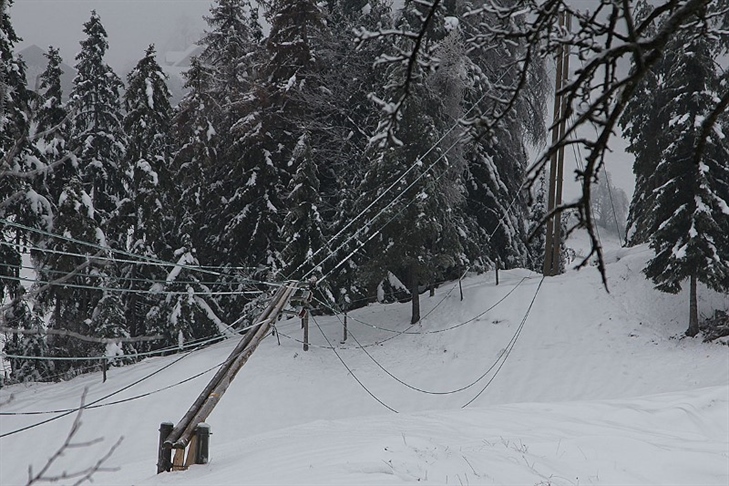 Elektrika v vse več domovih